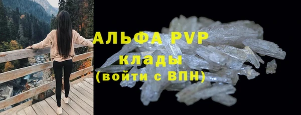 шишки Алзамай