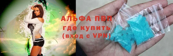 шишки Алзамай