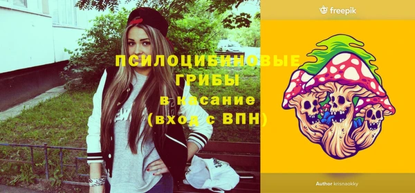 шишки Алзамай