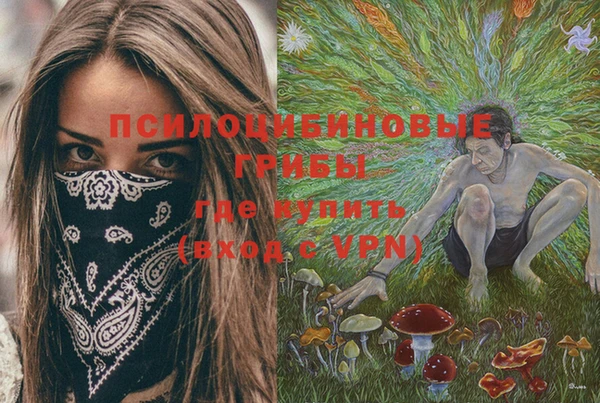 шишки Алзамай