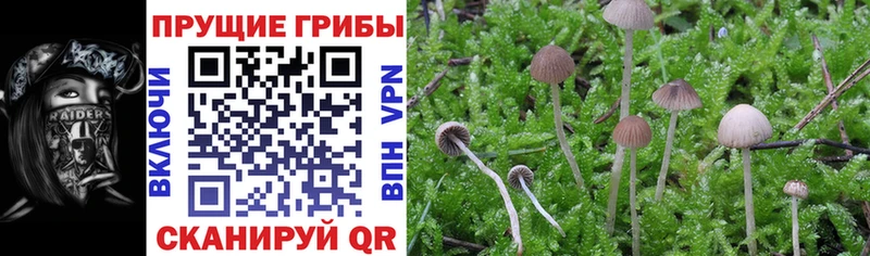 Галлюциногенные грибы мухоморы  Балабаново 