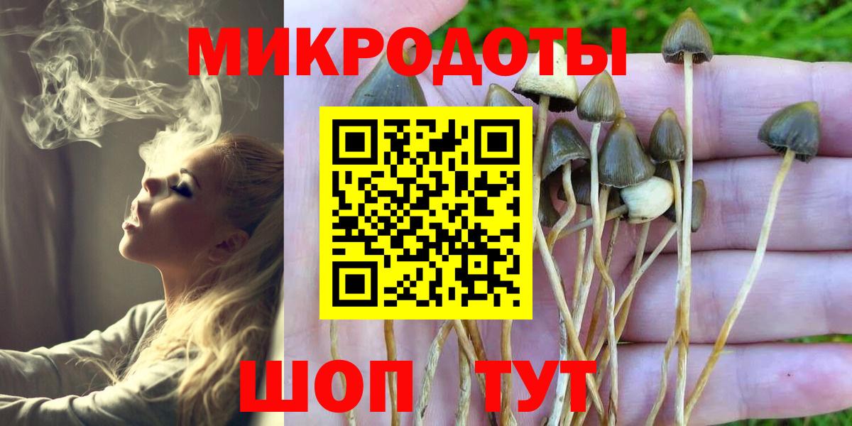 Галлюциногенные грибы мухоморы Балабаново