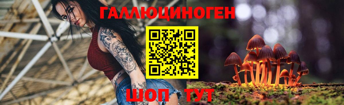 Галлюциногенные грибы ЛСД  Вход с VPN  Балабаново  Галлюциногенные грибы GOLDEN TEACHER 